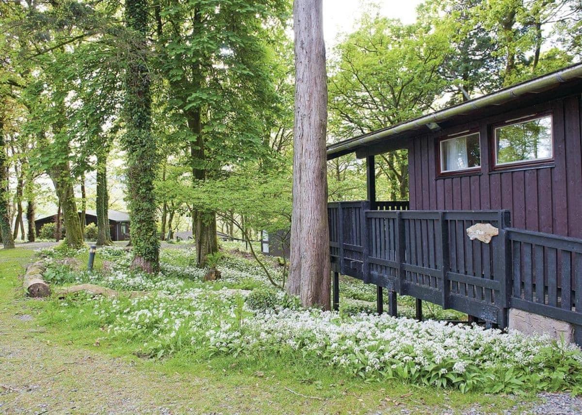 Brockwood Hall Lodges Silecroft Εξωτερικό φωτογραφία